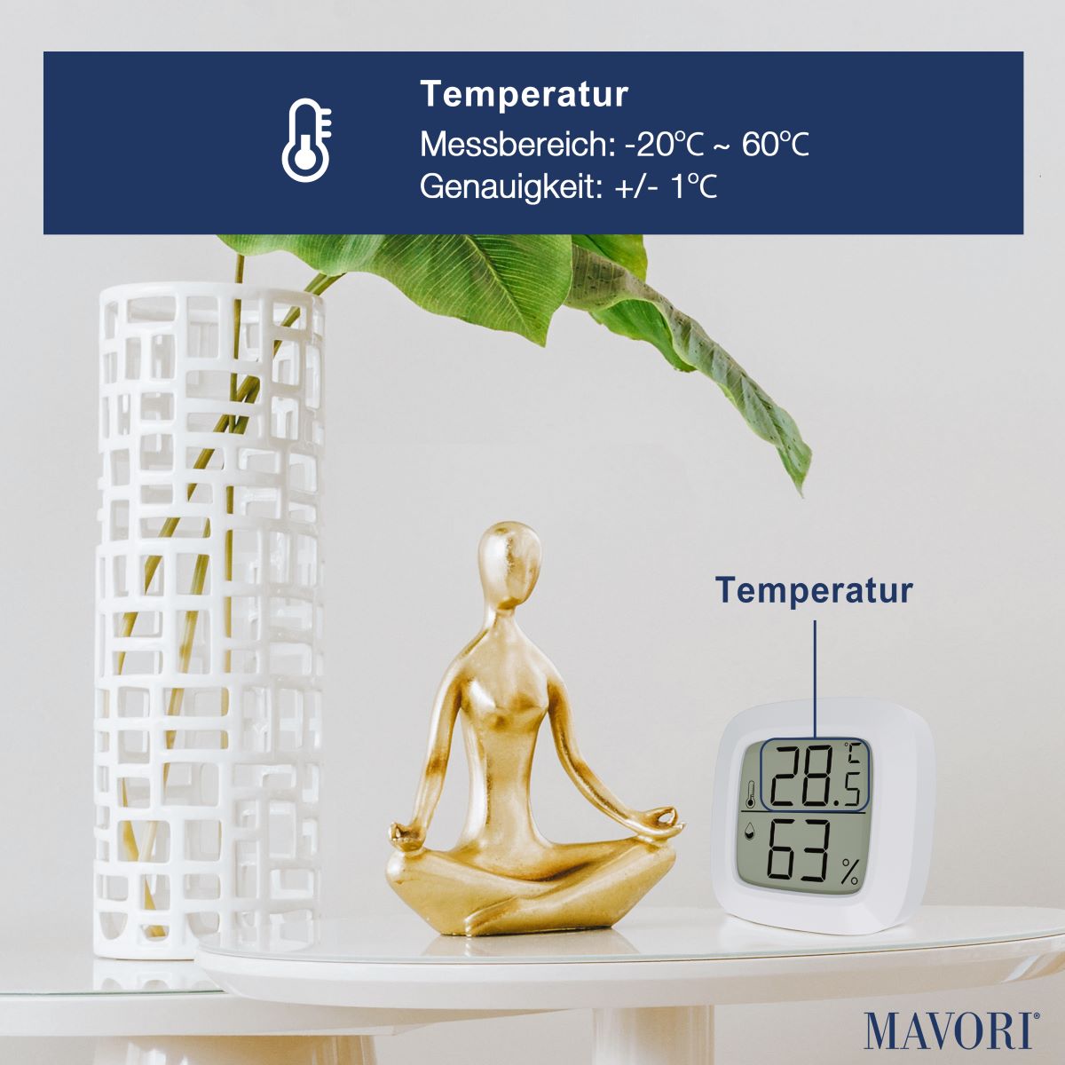 KOMPAKTER HYGRO-THERMOMETER - präzise und inklusive Batterien - NEUES MODELL