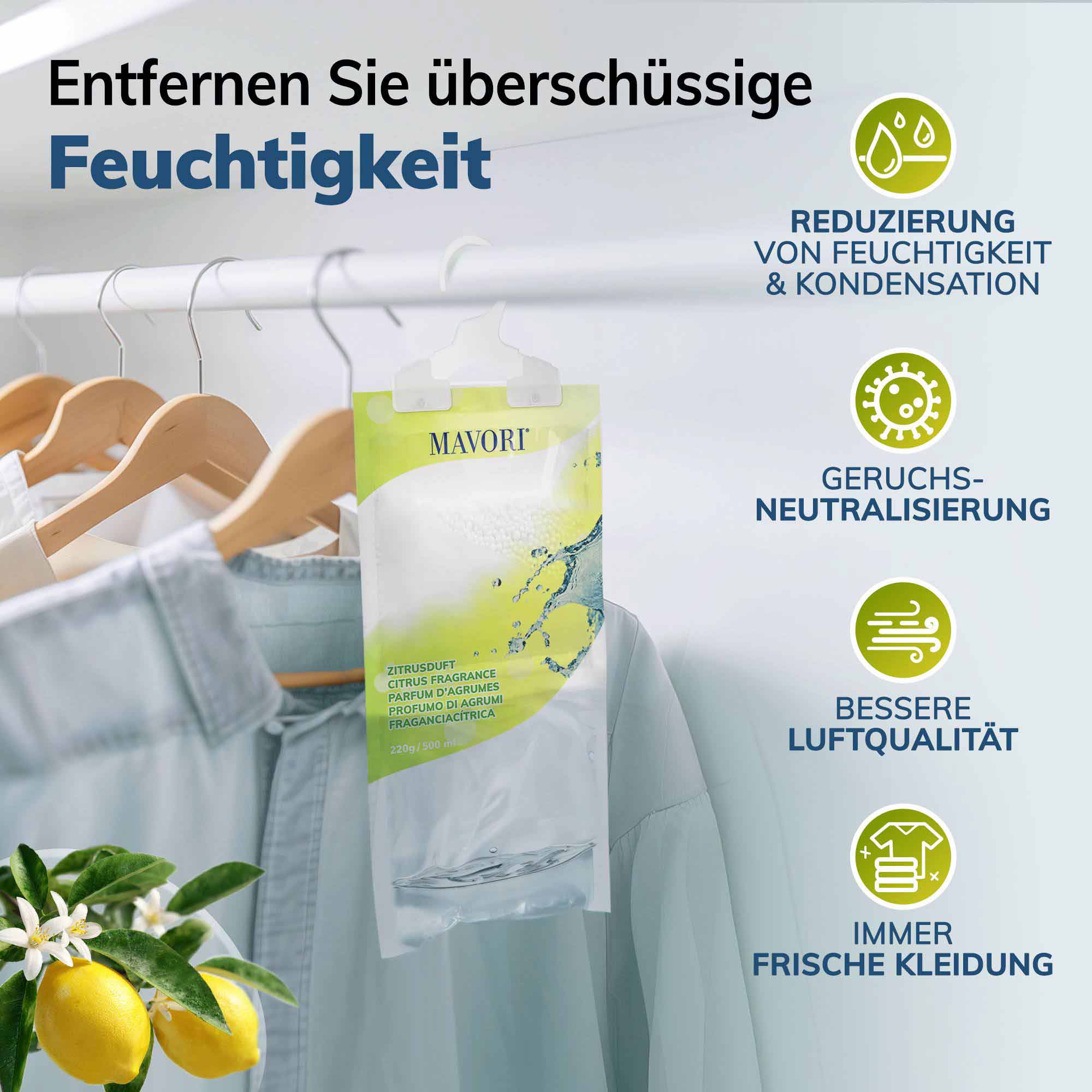 Luftentfeuchter zum Aufhängen - hilft gegen Feuchtigkeit, Schimmel und Gerüche - mit ZITRUSDUFT - NEU